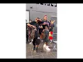 Kojo Blak - Excellent Ft Kelvyn Boy | Tiktok Dance Challenge🔥
