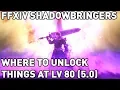 FFXIV Where to Unlock Things At Level 80 5 0