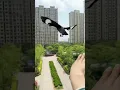 Download Lagu Starling bird master bird walking bird raising birds hand raising birds hand daily