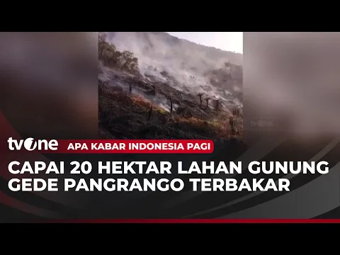 Kebakaran Gunung Gede Pangrango Mencapai Dua Puluh Hektar