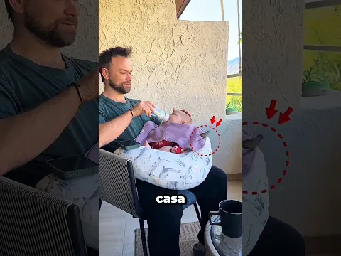 Su papá supo quién era realmente ese pájaro 🥺🐦