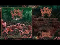 Lagu GORE IMPURITY - SUFFERING ON EARTH EXECUTION [FULL-LENGTH] (SLAMMING BRUTAL DEATH METAL - 2025)