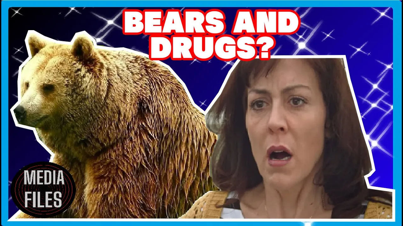 Why UNEDITED FOOTAGE OF A BEAR (2014) is a DARK MASTERPIECE! // #2