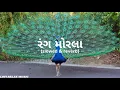 rang morla slowed & reverb | bhavesh Ahir | lofi relax music |