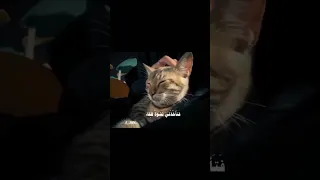 تمر ببالي كطيف جميل حب لايك فولو اكسبلور Explore تبعوني عشق من دون موسيقى اكسبلور فولو 