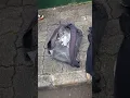 Download Lagu demonstranten blootgesteld aan traangas