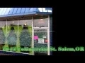 The Holistic Choice Dispensary Tour