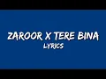 Download Lagu Zaroor x Tere Bina Mashup Lyrics - New Trending Song