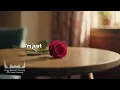 Happy Valentine’s Day Song – The Lyrical Lanterns | Romantic Acoustic Pop (Lyric Video)