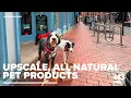 Uncommon Paws in Portland offers upscale all-natural pet products