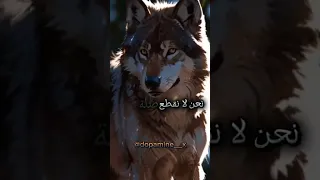 نحن لانقطع صلة الرحم اقوال وحكم 