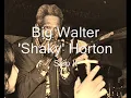 Big Walter 'Shaky' Horton-Skip It