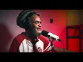 Brother Culture & King Kong & Little Lion Sound  - Reggae In The Dance (Evidence Music)