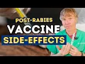 Is the Rabies Vaccine Causing Anxiety Disorders in Dogs
