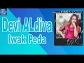 Download Lagu Iwak Peda Devi Aldiva (Lirik) New Pallapa