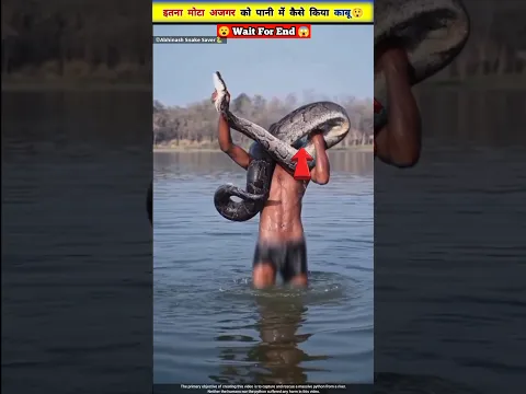 नदी से किया 60 किलो वजनी python का rescue 😲🐍