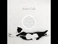 Cool Cat