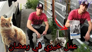 عمل خيري في شوارع اسبانيا في رمضان                دندنها