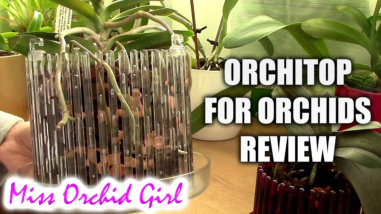 ORCHITOP POTS FOR ORCHIDS REVIEW AFTER USING