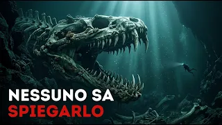 Gli scienziati hanno scoperto un enorme cimitero a 7.000 metri di profondità nell'oceano