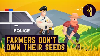 Why Farmers Can t Legally Replant Their Own Seeds