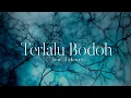 Lagu Terlalu Bodoh - Ara Johari (lirik) | OST Pak Su Ammara