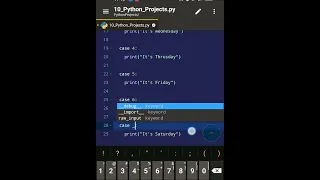 How to use switch-case or match-case in python 10