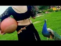 Download Lagu Madkan Aali Jutti (Official Video) Sonal Khatri || Jaji King || New Haryanvi Songs Haryanavi 2020