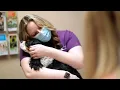 VCA Del Lago Animal Hospital - Scottsdale Arizona