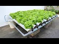 No watering - No soil