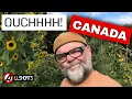 Download Lagu Canada doet de VS pijn #elbowsup #boycottusa