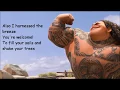 Moana You re Welcome