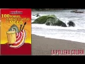 Pedro Salcedo y su Orquesta - La Pollera Colorá (Visualizer) | Discos Fuentes