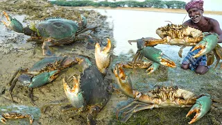 MONSTER MUD CRABS | முரட்டு களி நண்டு | Mud Crabs Soup | Village Healthy Food| Grandpa One Man Show