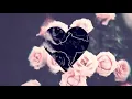Said The Sky - Show & Tell (Lyrics / Lyric Video) feat. Claire Ridgely