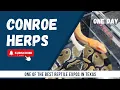 Conroe One Day HERPS Show January 2026
