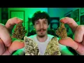 Trying Old School Strains