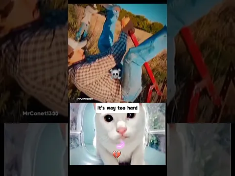 the end will make you laugh😹🤣 #cat #react #memes #funny #explore #edit #shorts