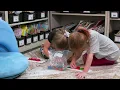 Small Group Centers Playing with Pattern Blocks