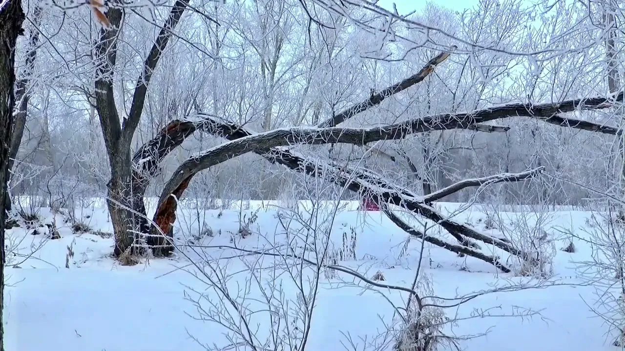Just Feel It From Your Heart | Winter 4K - Scenic Relaxation Film With Inspiring Music.