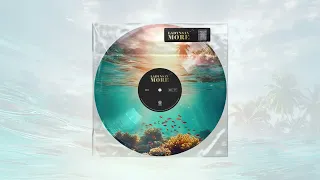 Ladynsax - More