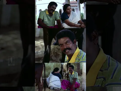 ഭർത്താവ് തളർന്നു കിടക്കാൻ തുടങ്ങിയിട്ട് അഞ്ചാറ് കൊല്ലമായില്ലേ..കാര്യങ്ങളൊക്കെ എങ്ങനെനടക്കുന്നു..!!😂🤣