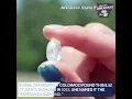 Top 10 largest diamonds ever found at Arkansas Crater of Diamonds State Park
