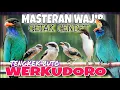 Download Lagu RAHASIA CETAK CENDET TENGKEK BUTO WERKUDORO PANJANG FULL TEMBAKAN DAHSYAT MASTERAN CENDET AMPUH