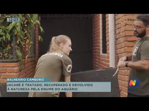 Jacaré é tratado, recuperado e devolvido à natureza pele equipe do Aquário Oceanic