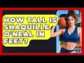 How Tall Is Shaquille O Neal in Feet Basketball Stats Central News