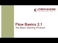 Flow Basics 2 1 The Basic Staining Protocol
