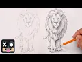 How To Draw a Lion Sketch Tutorial