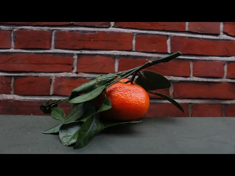 Orange Peel