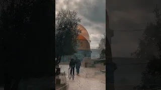 يلي عليك القلب حزين فلسطين 